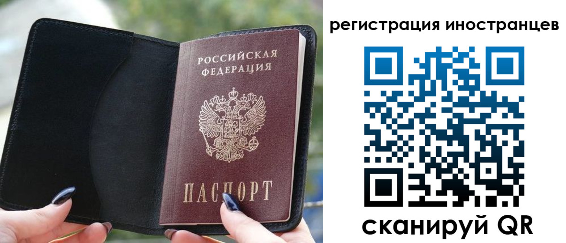 найти адрес прописки в Прохладном